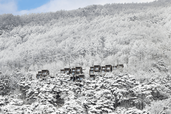 포레스트 리솜의 겨울 전경. [출처=호반호텔앤리조트]