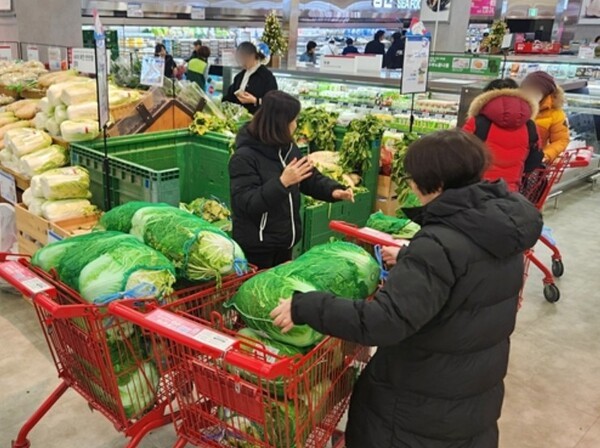 소비자들이 한 대형마트에서 배추를 살펴보고 있다. [출처=롯데마트]