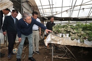 thumbnail - 농협, 호우 피해 무이자자금 1000억원 지원