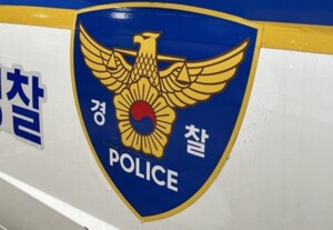 thumbnail - 해외 도피 남양유업 창업주 외손녀, 캄보디아서 체포