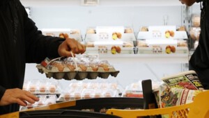 thumbnail - 계란 한  판, 다시 7천원대…평년보다 8.3% 비싸