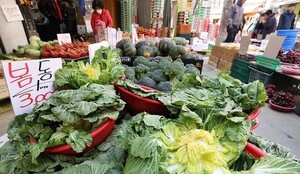 thumbnail - '계절·생산량→SNS' 가격결정축 이동…'봄동' 열풍이 몰고 온 변화