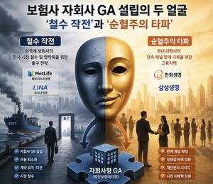 보험 자회사GA 두 얼굴...'철수 작전 vs 순혈주의 타파' - 뉴스 썸네일 이미지