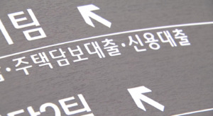 thumbnail - 은행권 대출문 다시 연다…하나·신한 모집인 접수 재개